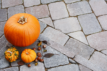 Image showing Orange pumpkin and gourds with hazelnuts and autumn leaves 