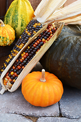 Image showing Mini pumpkin with ornamental corn and gourds 