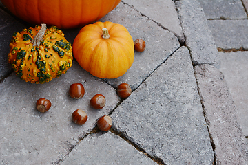 Image showing Ornamental gourds and hazelnuts as fall decorations on a stone s