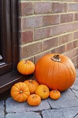 Image showing Collection of mini pumpkins and a large orange pumpkin 