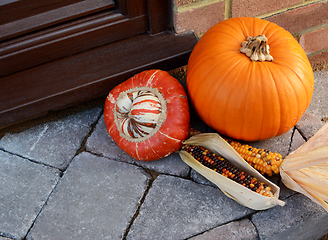 Image showing Turks Turban gourd with colourful ornamental corn and pumpkin