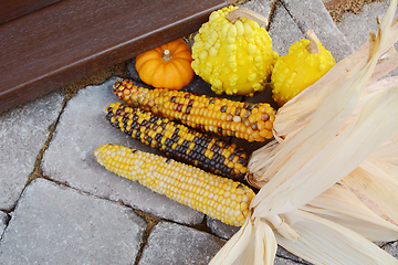 Image showing Three cobs of ornamental corn and gourds on a doorstep