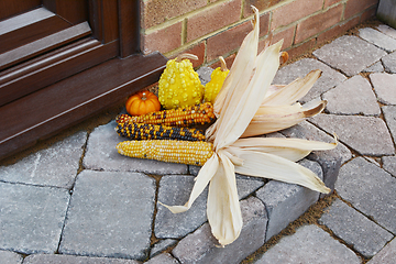 Image showing Fall decoration of multi-coloured Indian corn and ornamental gou