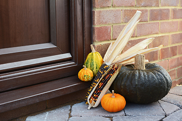 Image showing Large green squash and ornamental gourds with Indian corn 