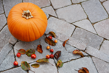 Image showing Large pumpkin surrounded by red crab apples and fallen leaves 