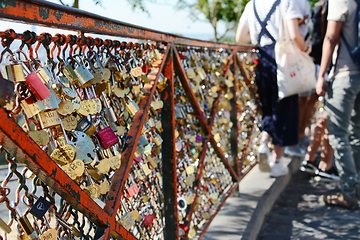 Image showing Numerous padlocks and combination locks fixed to a fence in Pari