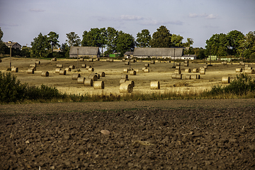 Image showing Farmland with Ray Rolls and Plowed Land