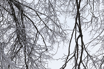 Image showing Snow drifts in winter