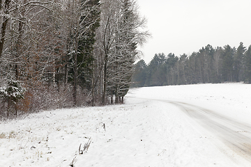 Image showing road covered with snow in the forest