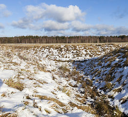 Image showing After snowfall