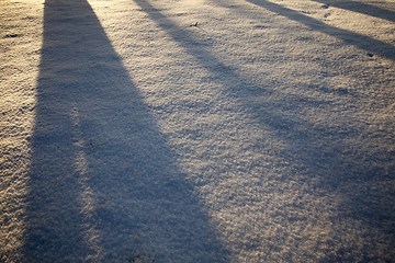 Image showing Shadows in the snow