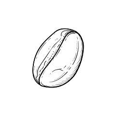 Image showing Coffee bean hand drawn sketch icon.