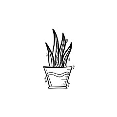 Image showing Sansevieria trifasciata hand drawn sketch icon.