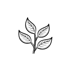 Image showing Branch with leaves hand drawn sketch icon.