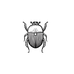 Image showing Colorado potato beetle hand drawn sketch icon.
