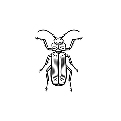 Image showing Beetle hand drawn sketch icon.