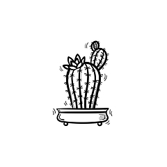 Image showing Cactus in a pot hand drawn sketch icon.