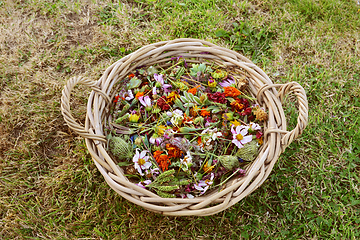 Image showing Large woven basket filled with faded garden flowers