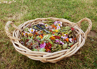 Image showing Large basket full of faded flower blooms and seed cases