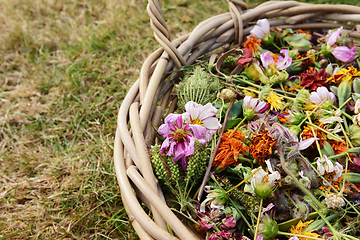 Image showing Cropped basket of faded flower blooms