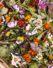 Image showing Sharp retro florist scissors on a bed of faded flower heads