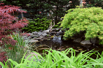 Image showing Small lily pond in Jefferson Market Garden, New York City