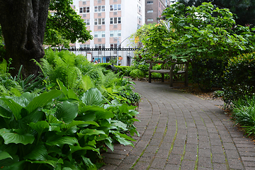 Image showing Pathway in Jefferson Market Garden, New York