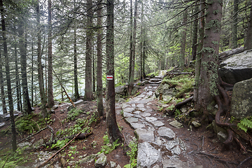 Image showing Mountain trail in Tatry, Poland.
