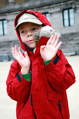 Image showing Boy with toy lambkin