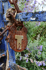 Image showing Rusted, broken padlock fastened to a metal chain on a gate with 