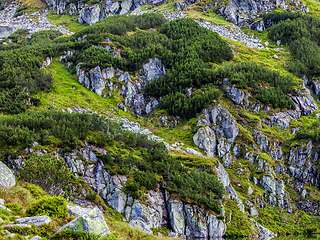 Image showing Mountain slope closeup