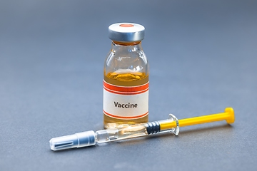 Image showing Vaccine for virus in small bottles