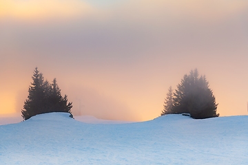 Image showing Mist covered trees in the mountains