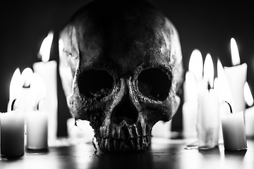 Image showing Candles and human skull in darkness closeup in black and whiter
