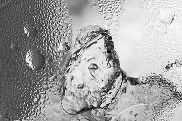 Image showing Ice cubes as background texture closeup photo