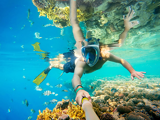 Image showing Snorkel swim in shallow water with coral fish, Red Sea, Egypt