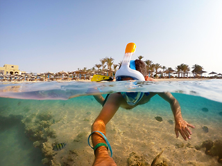 Image showing Snorkel swim in shallow water with coral fish, Red Sea, Egypt