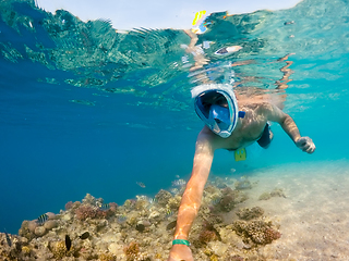 Image showing Snorkel swim in shallow water with coral fish, Red Sea, Egypt