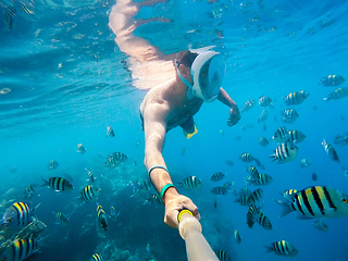 Image showing Snorkel swim in shallow water with coral fish, Red Sea, Egypt