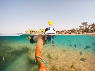 Image showing Snorkel swim in shallow water with coral fish, Red Sea, Egypt