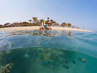 Image showing Underwater surface split view of coral fish and resort beach wit