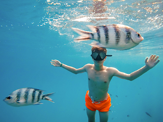 Image showing Young boy Snorkel swim in shallow water with coral fish