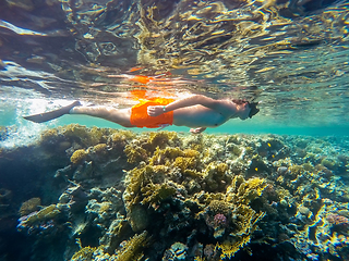 Image showing Young boy Snorkel swim in shallow water with coral fish