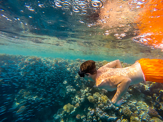 Image showing Young boy Snorkel swim in shallow water with coral school of fis