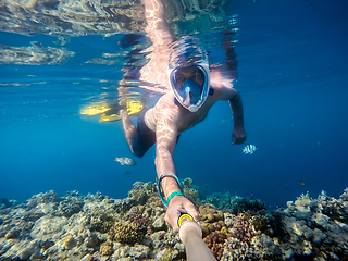 Image showing Snorkel swim in shallow water with coral fish, Red Sea, Egypt