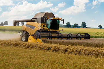 Image showing Summer harvesting with automatic harvester