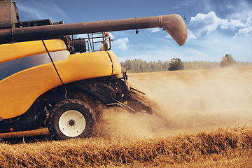 Image showing Summer harvesting with automatic harvester