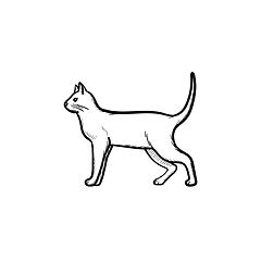 Image showing Cat hand drawn sketch icon.