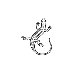 Image showing Salamander hand drawn sketch icon.