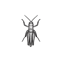 Image showing Grasshopper hand drawn sketch icon.